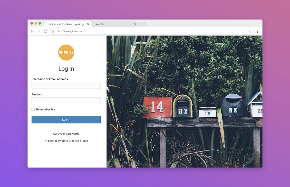 White Label Admin Login Page Using Easy Login Styler