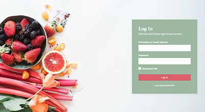 WordPress Admin Login Template 4