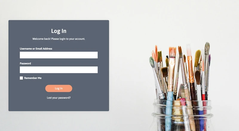 WordPress Login Template 9