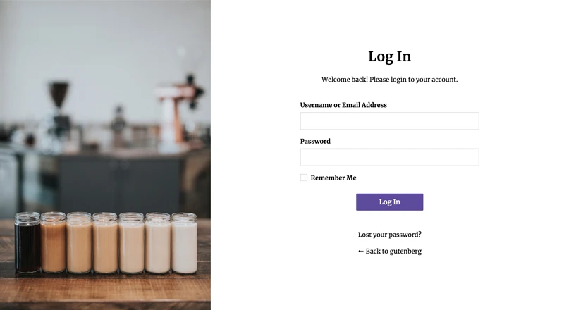 WordPress Login Template 7
