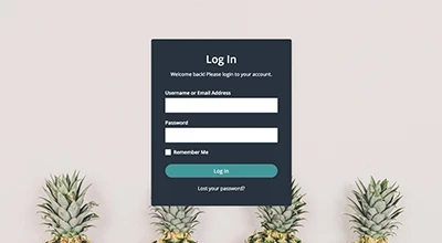 WordPress Admin Login Template 6