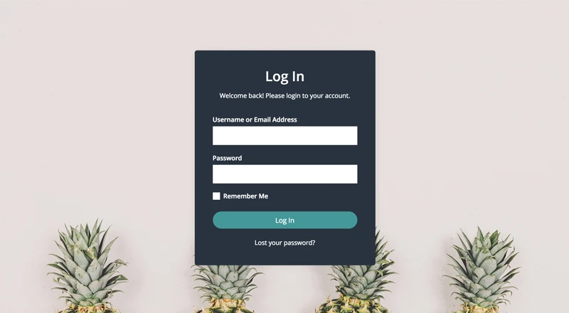 WordPress Login Template 6